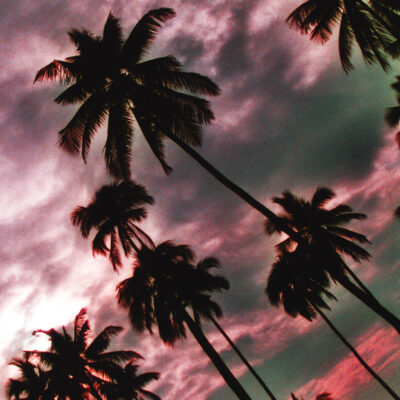 Black Coconut