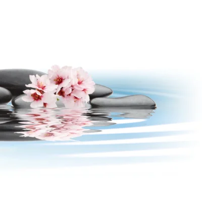 China Lily (by Body Time)
