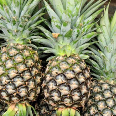 Pineapple Cilantro
