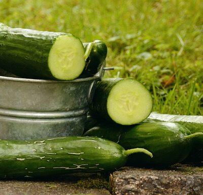 French Cucumber