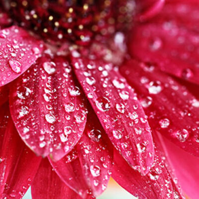 Rain (by Body Time)