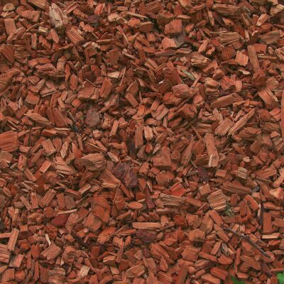 Sandalwood Indian