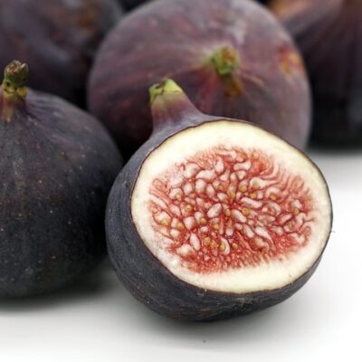 Fig