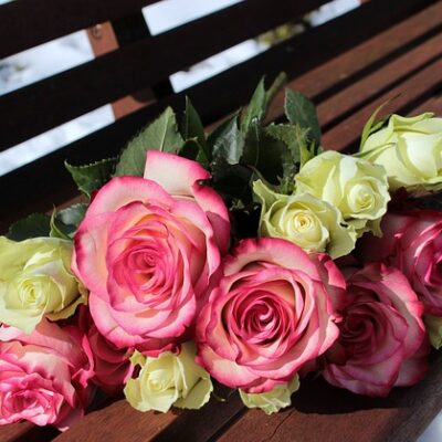 Rose Heaven