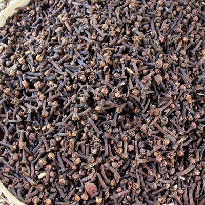 Clove Bud
