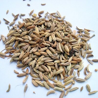 Fennel