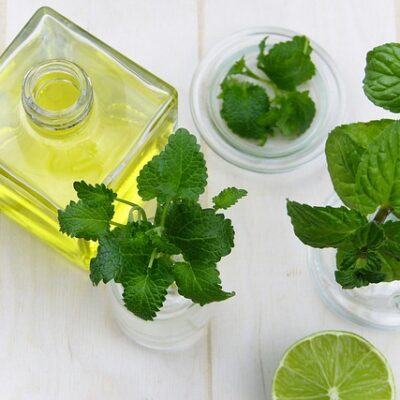 Peppermint (Organic)