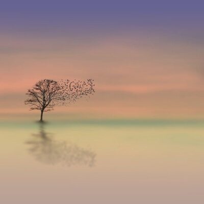 Calm