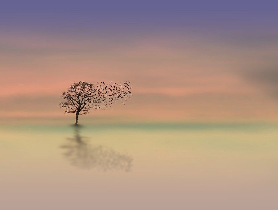 Calm