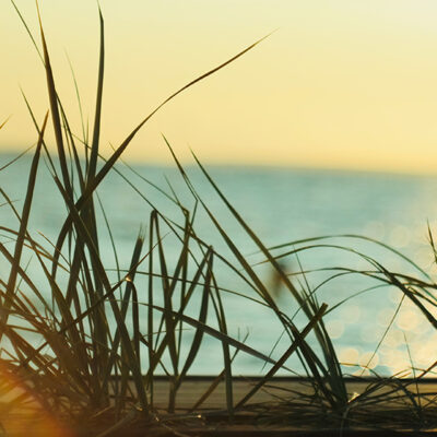Beach Linen