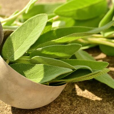 Sage (Organic)