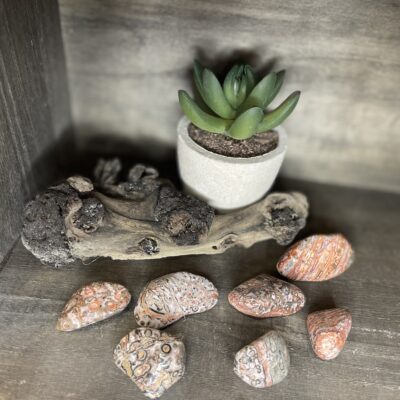 Orbicular Jasper