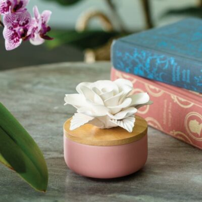Porcelain Passive Diffuser - Rose