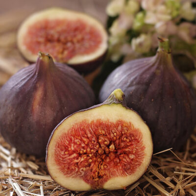 Cassis & Wild Fig