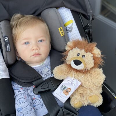 Lion Warmie Junior