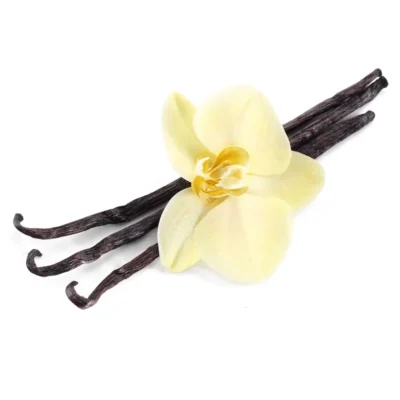 Vanilla (by Body Time)